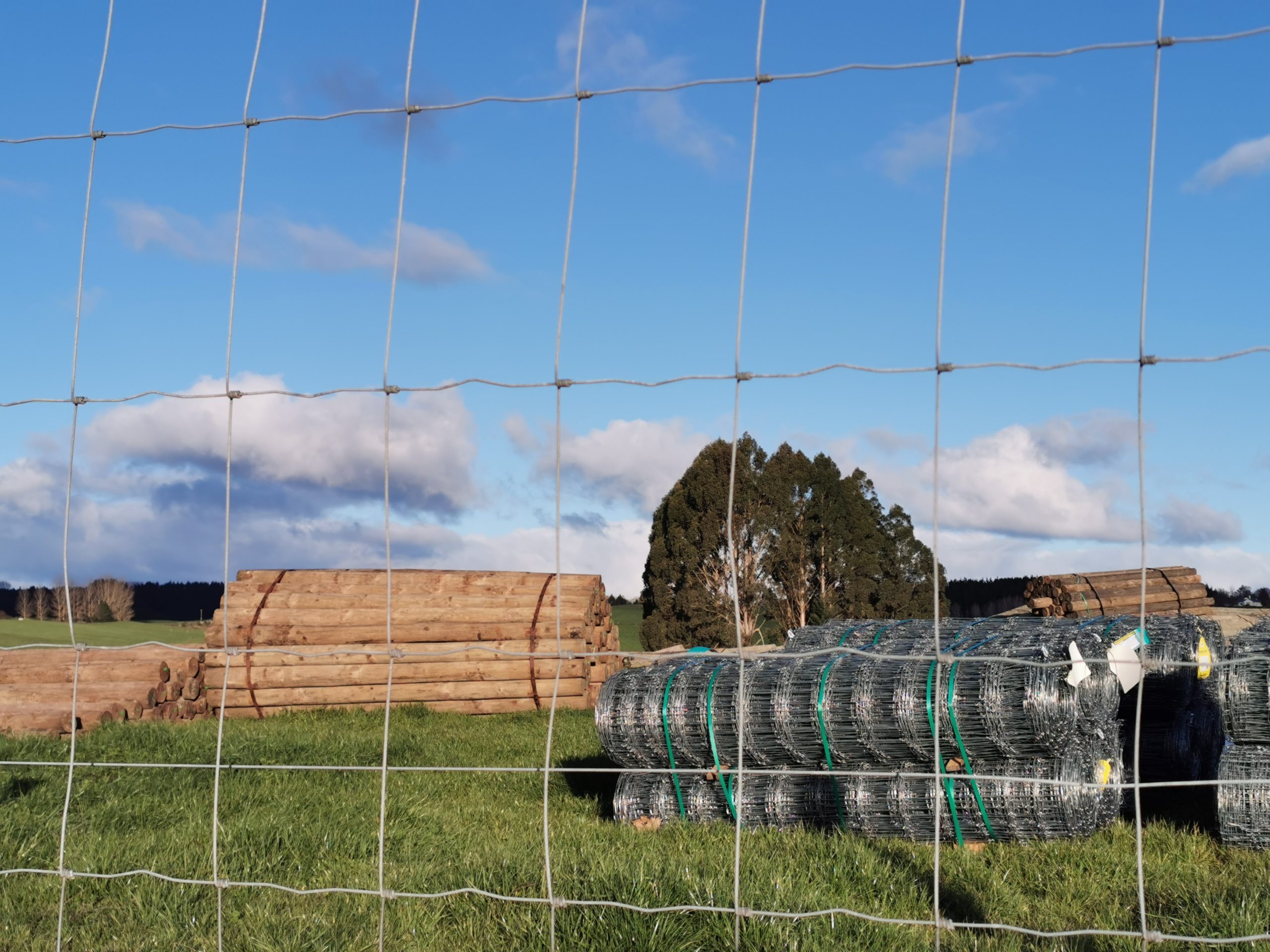 a fenced in area with a bunch of logs.