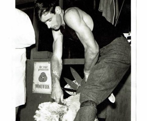a black and white photo of a man shearing a sheep.
