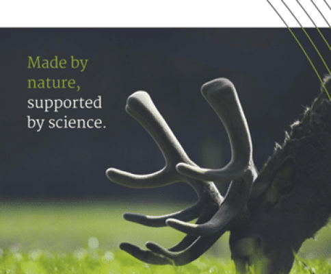 Deer Antler Velvet: The Science Behind the Supplement - Dr. Buzby's  ToeGrips for Dogs